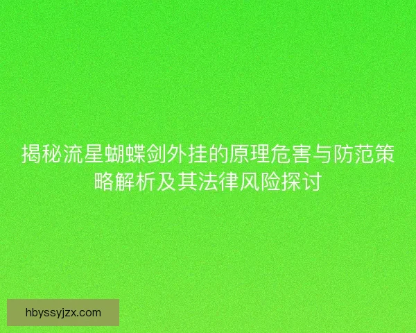 揭秘流星蝴蝶剑外挂的原理危害与防范策略解析及其法律风险探讨