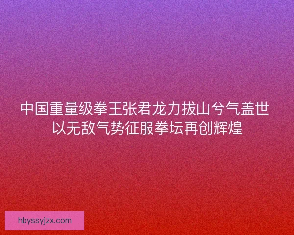 中国重量级拳王张君龙力拔山兮气盖世 以无敌气势征服拳坛再创辉煌